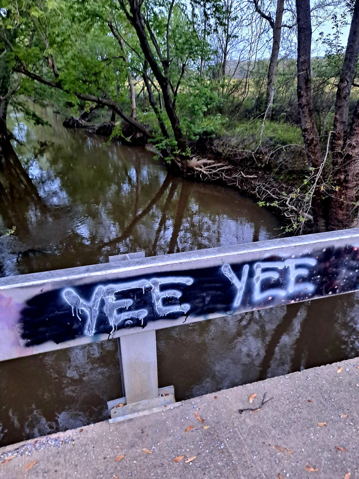 20240415_192748.jpg