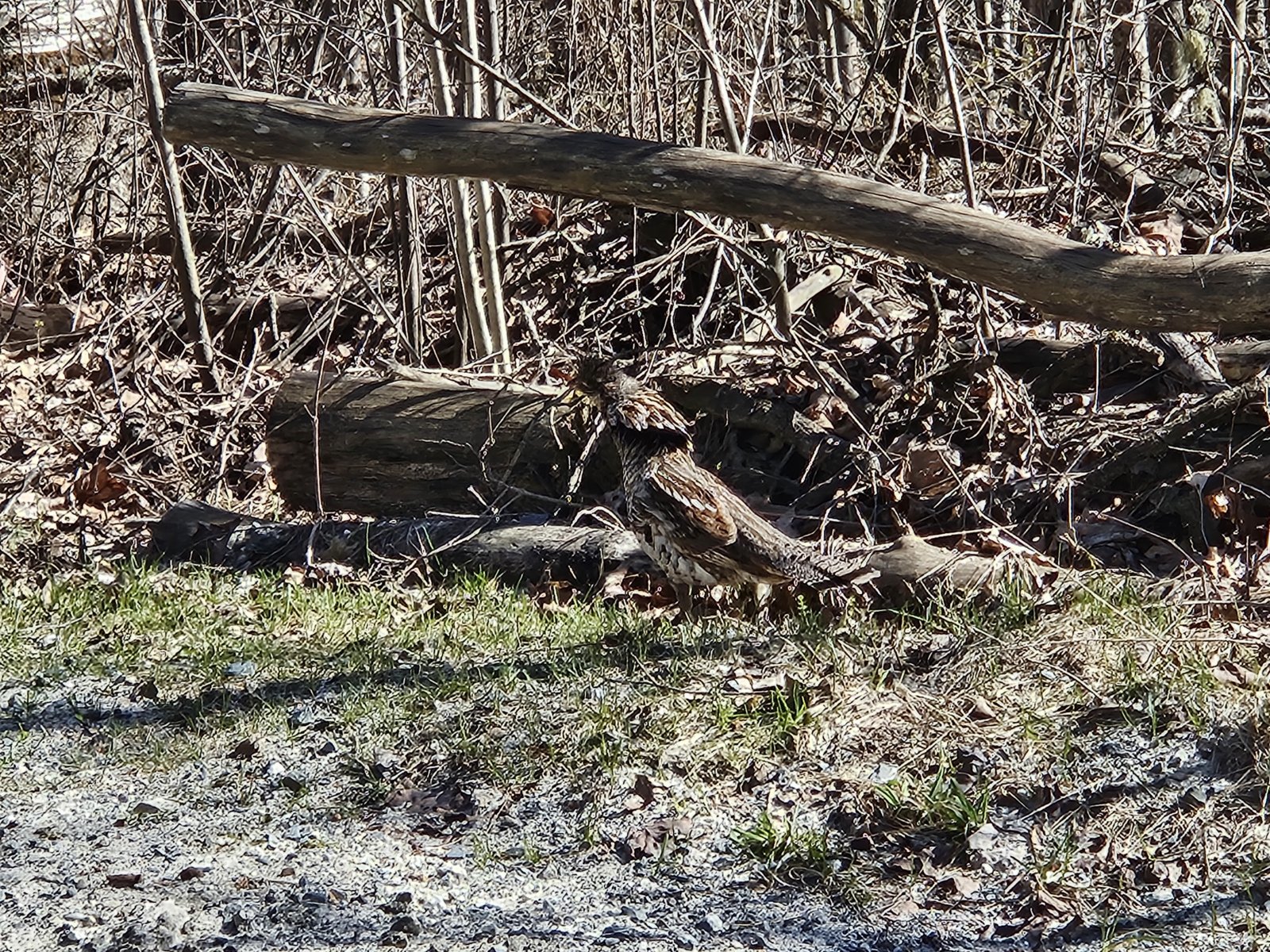 20240417_095501.jpg