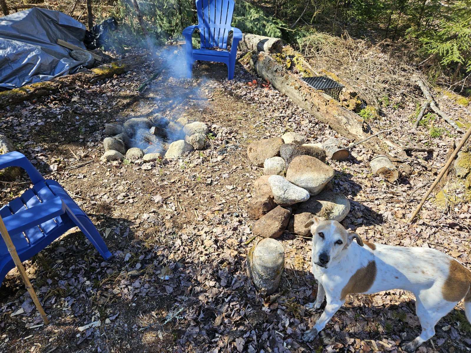 20240422_100641.jpg