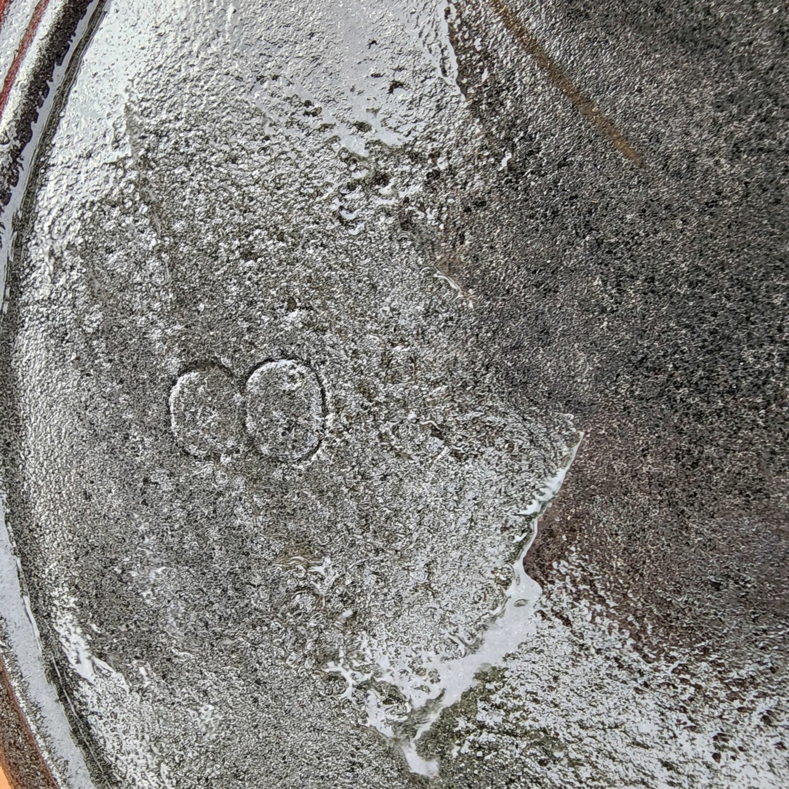 20240427_085504.jpg