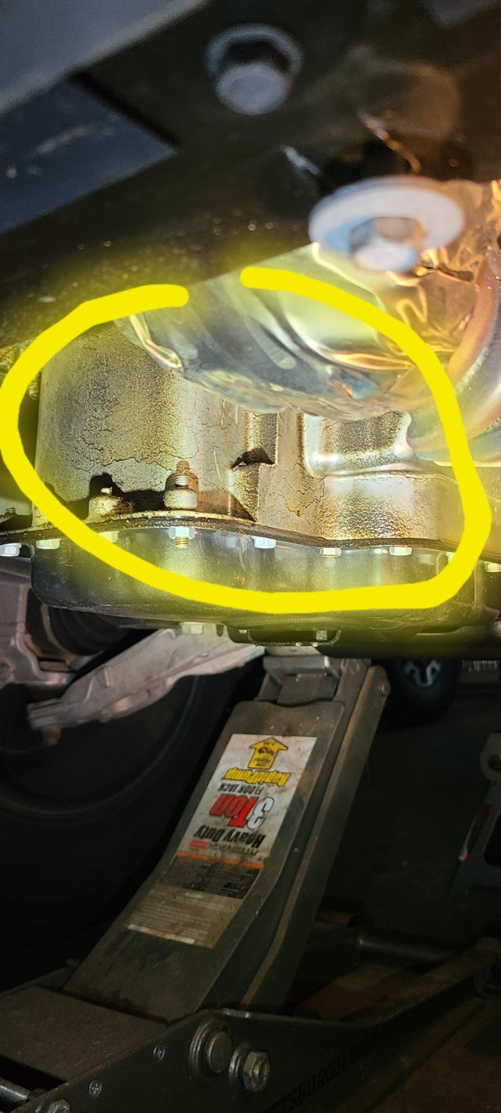 20240428_090455.jpg