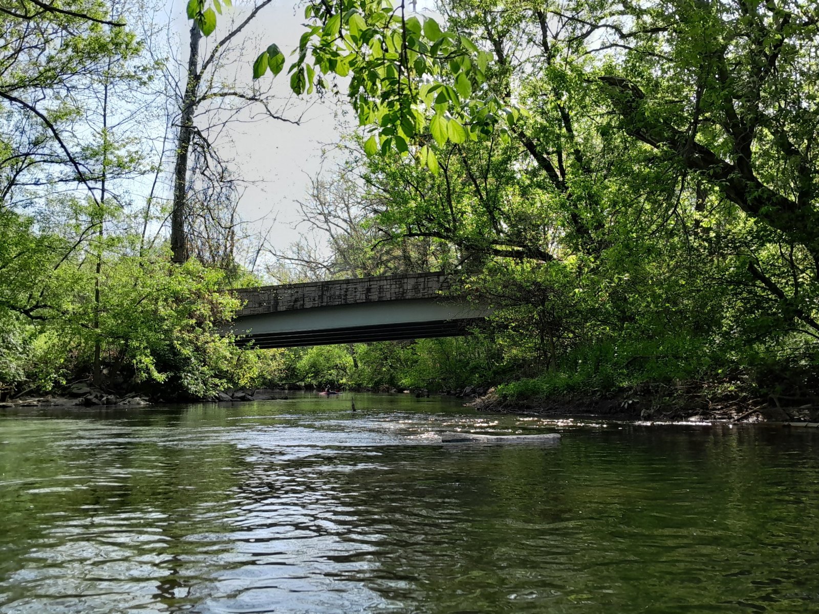 20240428_162937.jpg