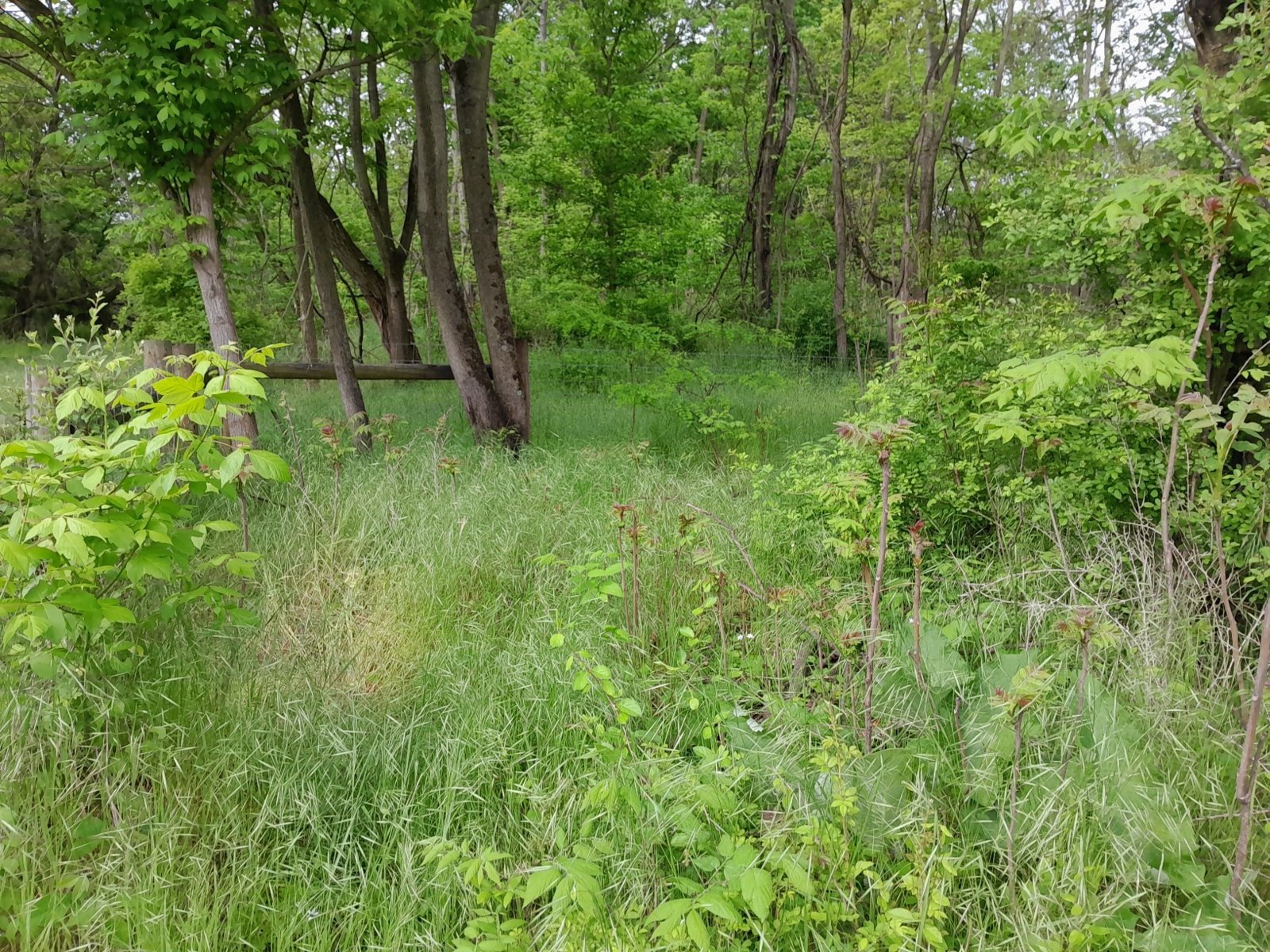 20240507_095544.jpg