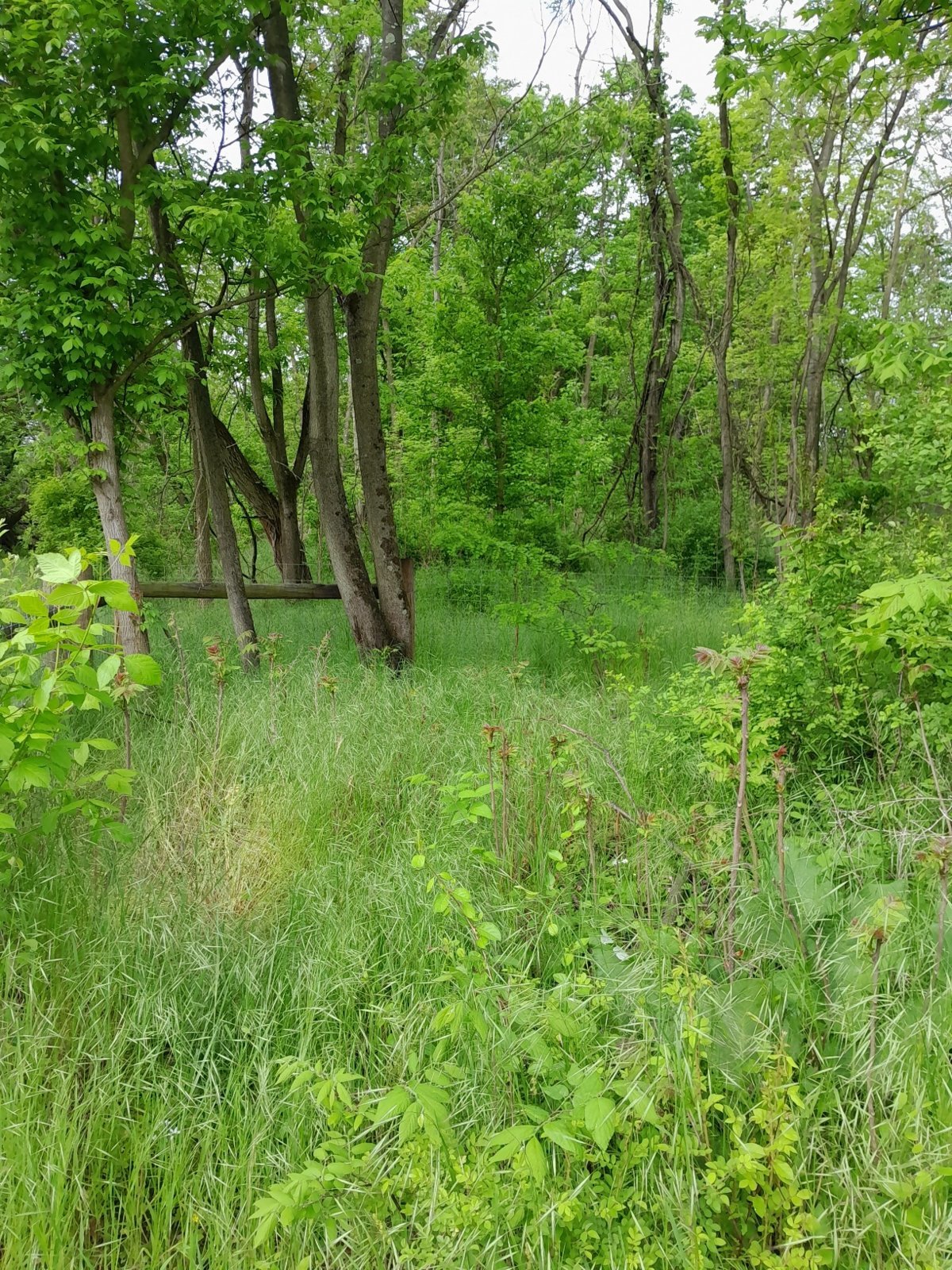 20240507_095549.jpg