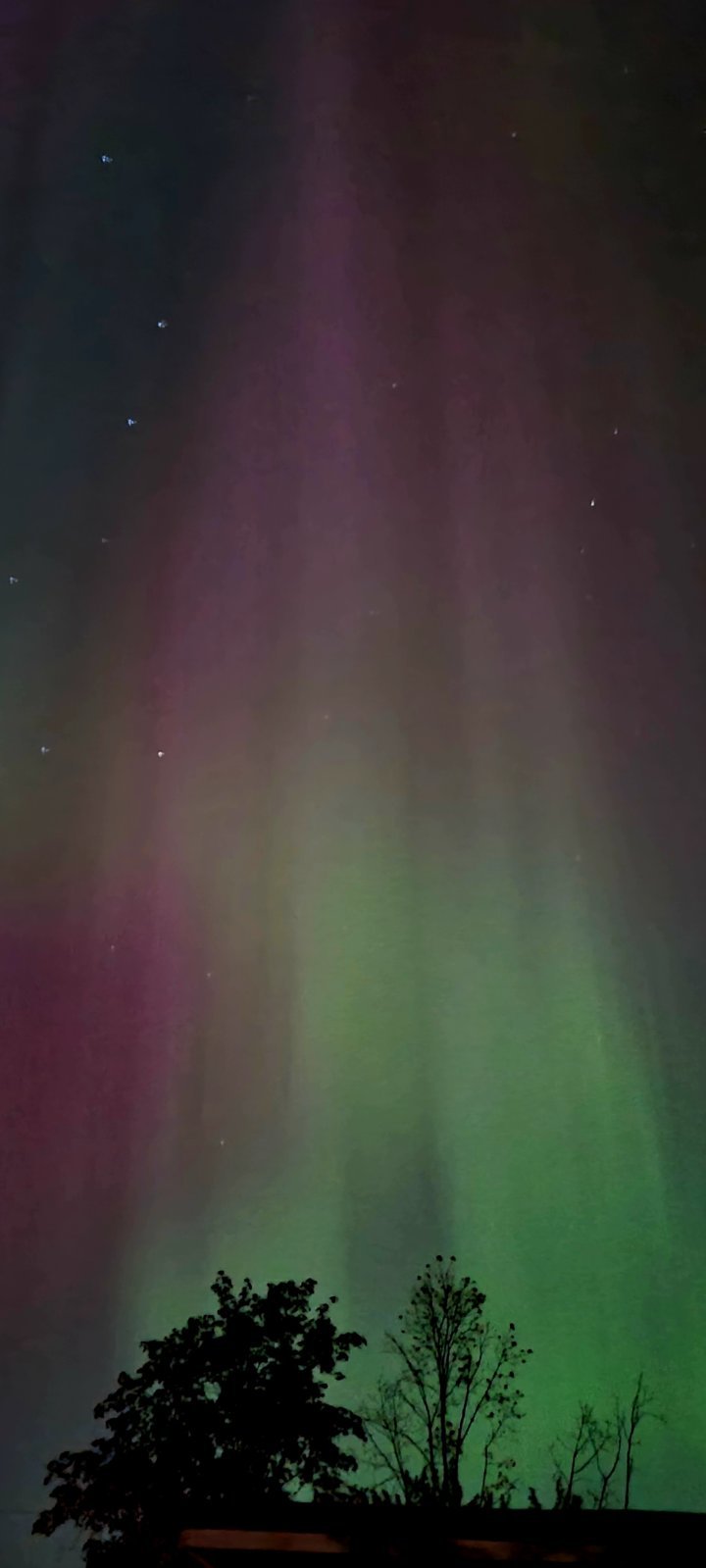 20240511_015112.jpg