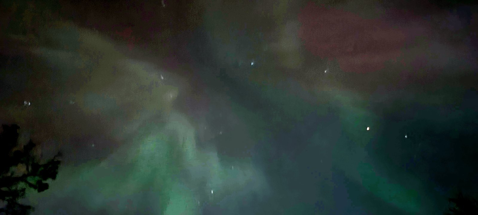 20240511_015126.jpg