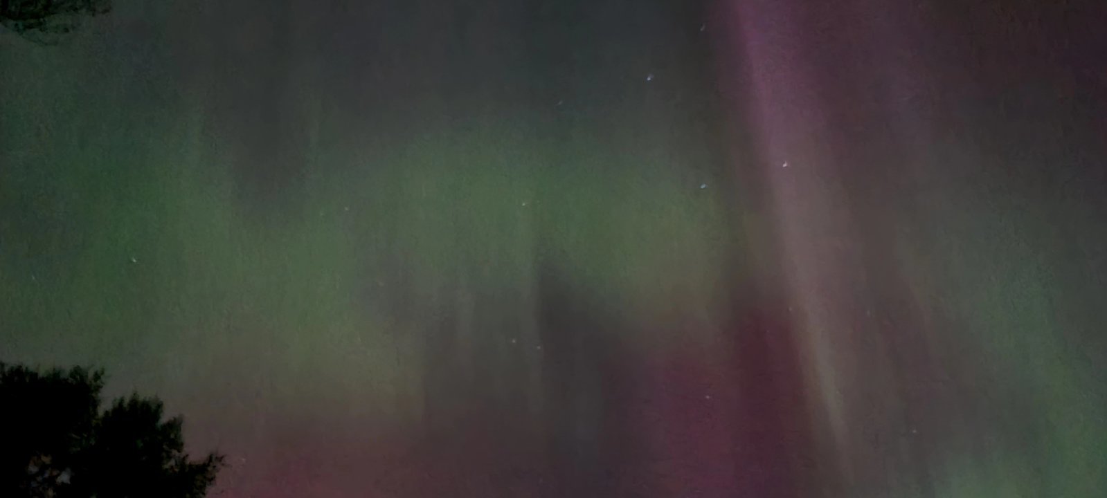 20240511_015138.jpg