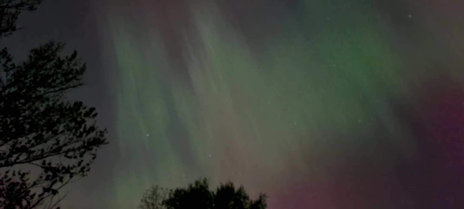 20240511_015208.jpg