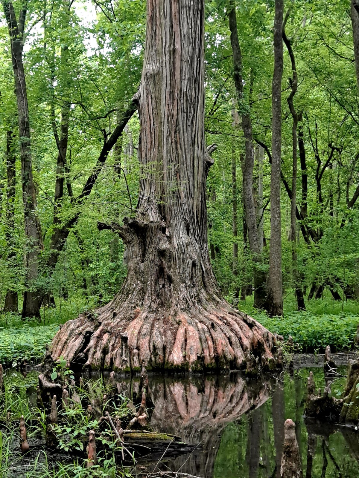 20240513_134624.jpg