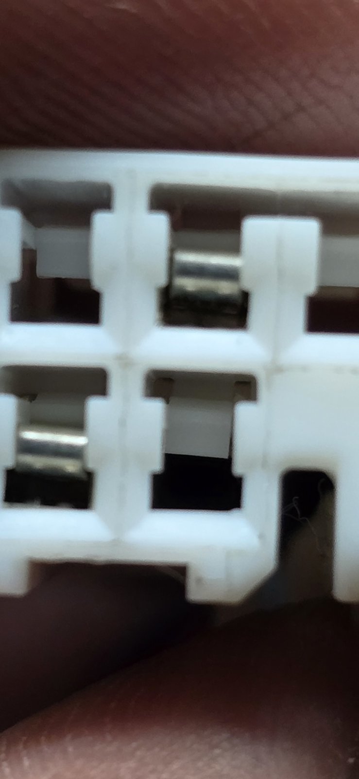 20240516_115312.jpg