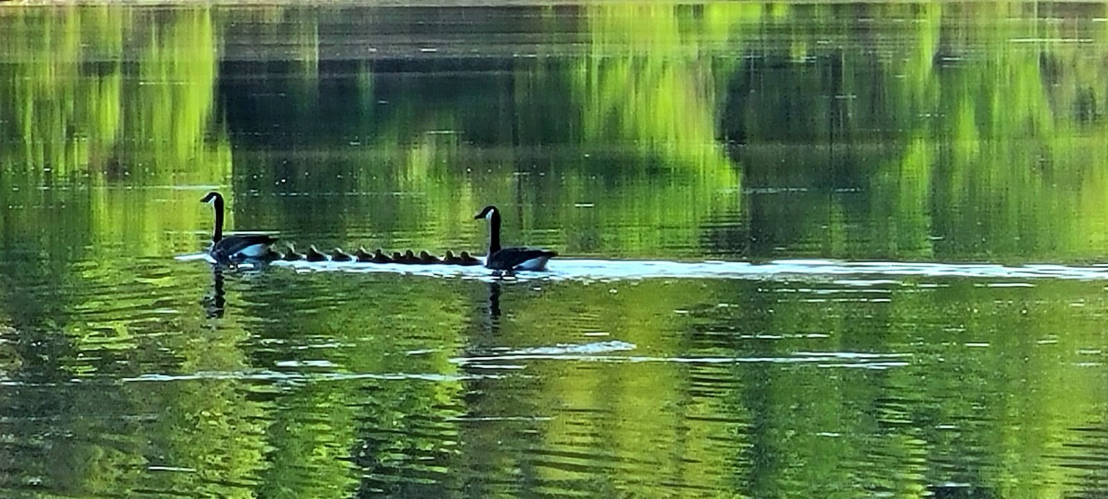 20240519_063601.jpg