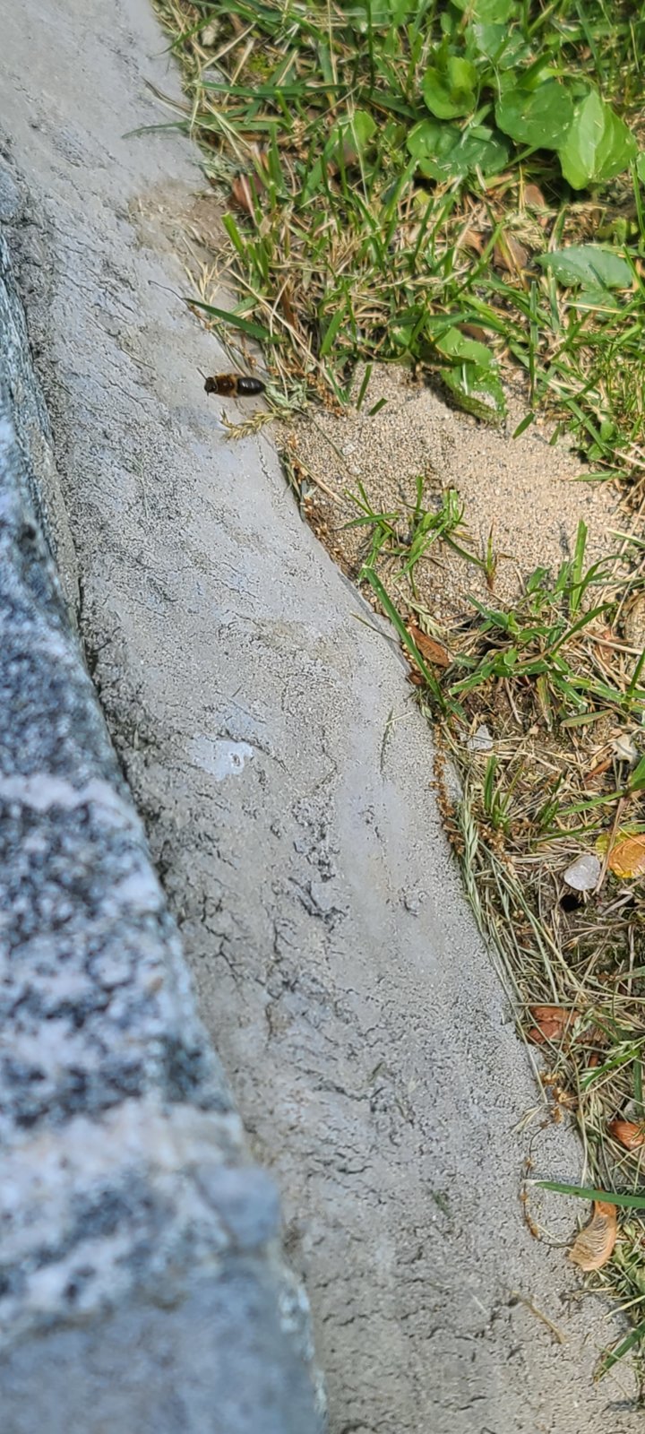 20240521_143601.jpg