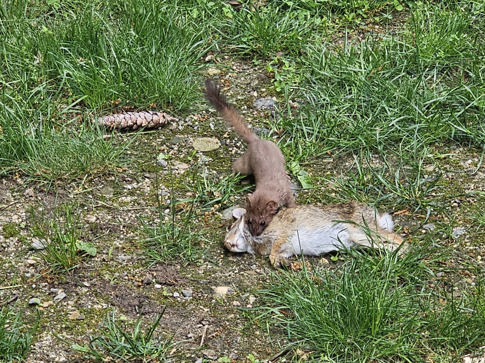 20240527_105836.jpg