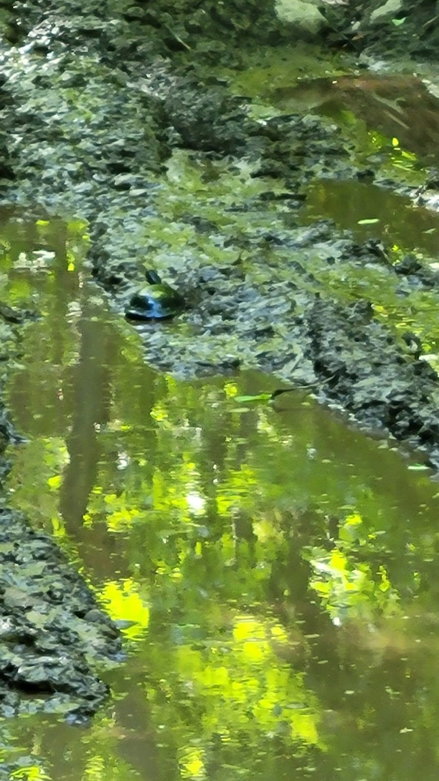 20240531_175047.jpg