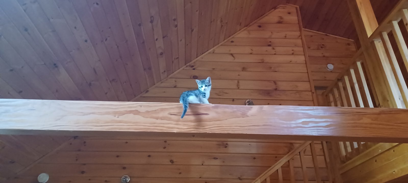 20240602_091454.jpg