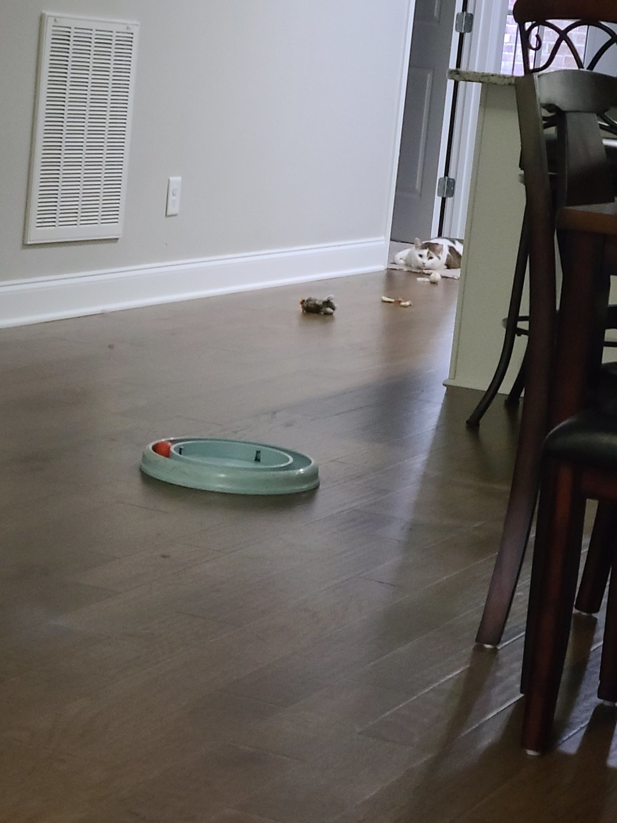 20240605_054352.jpg