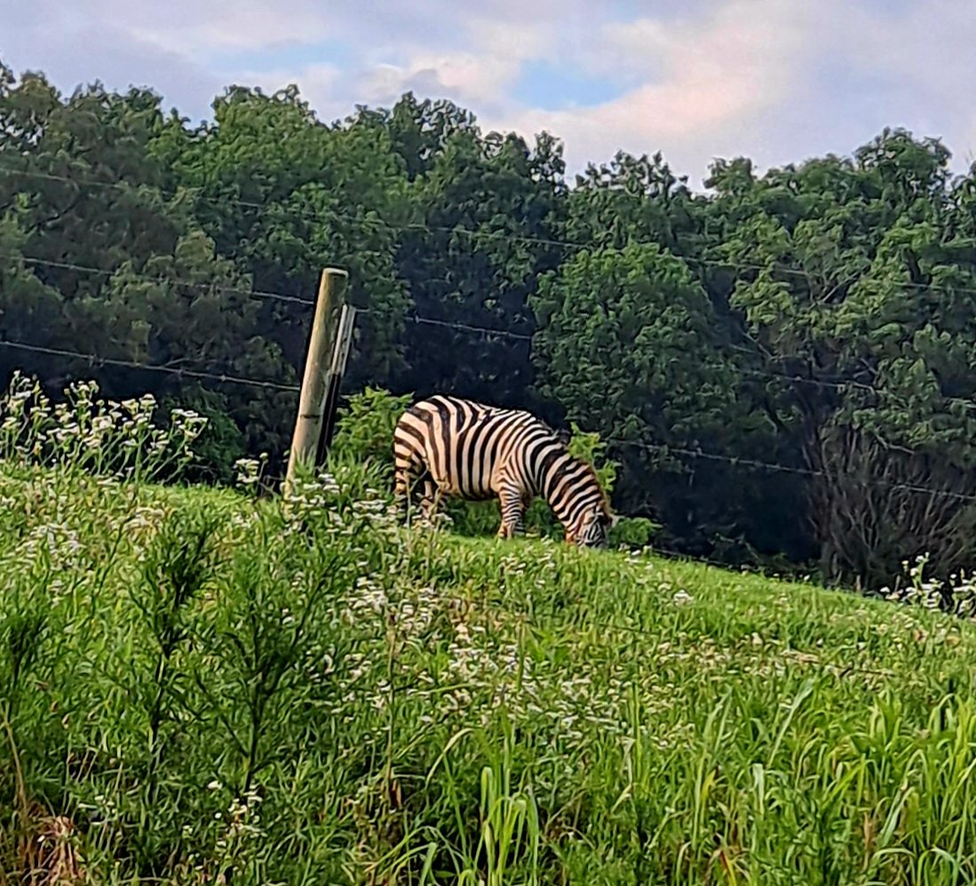 20240605_192559.jpg