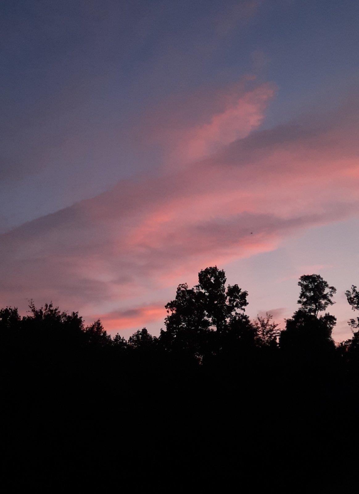 20240605_211704.jpg