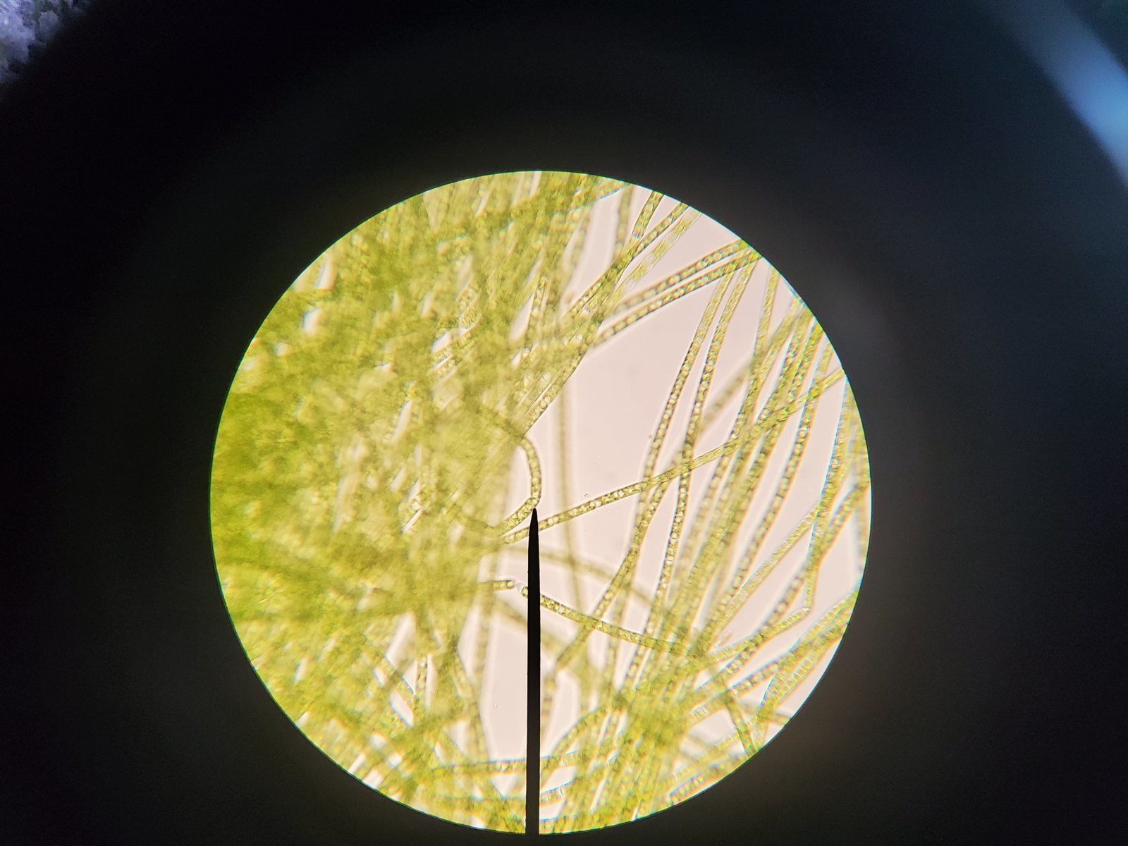 20240607_143356.jpg