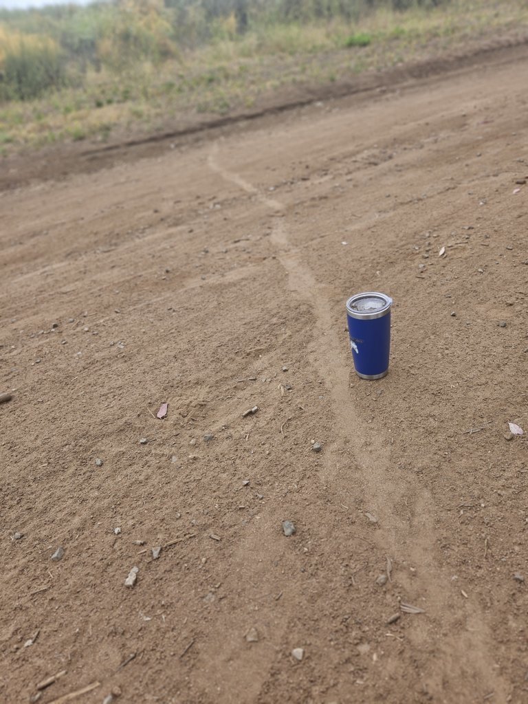20240608_081347.jpg