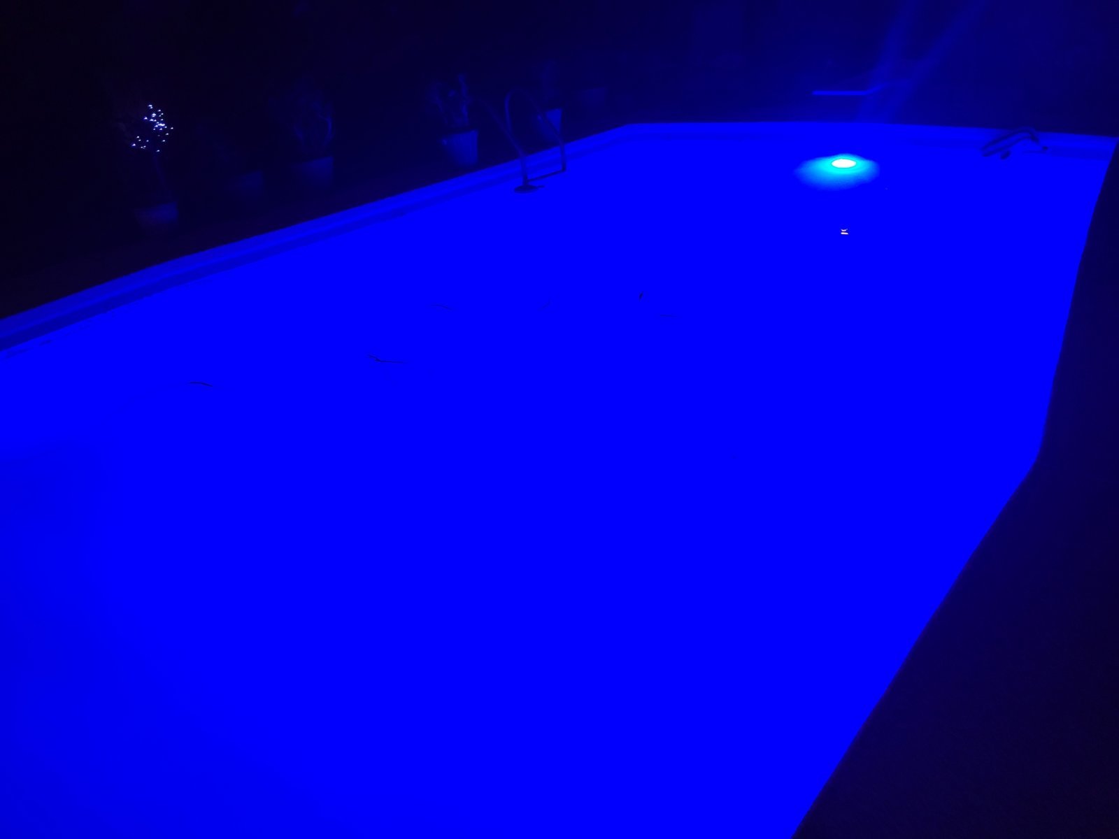 20240608_211123.jpg