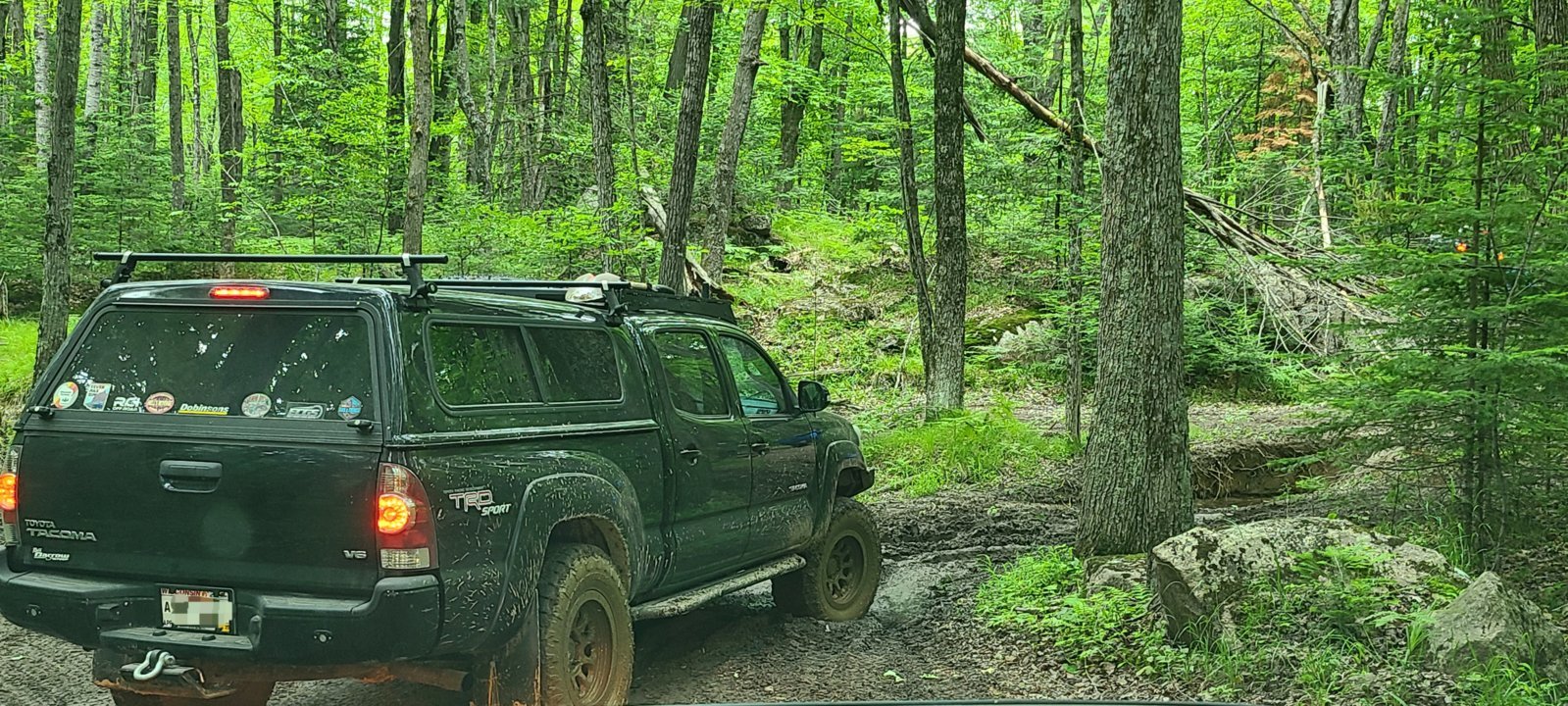20240609_155418.jpg