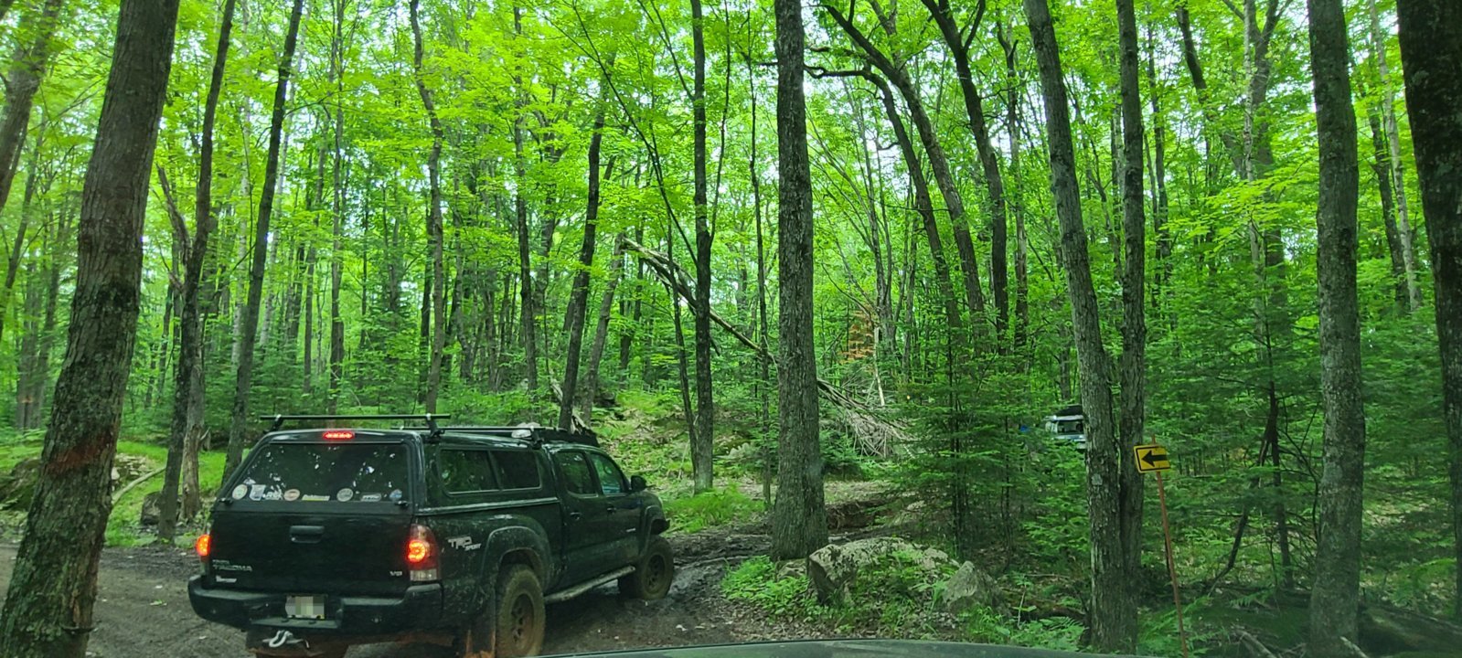 20240609_155451.jpg