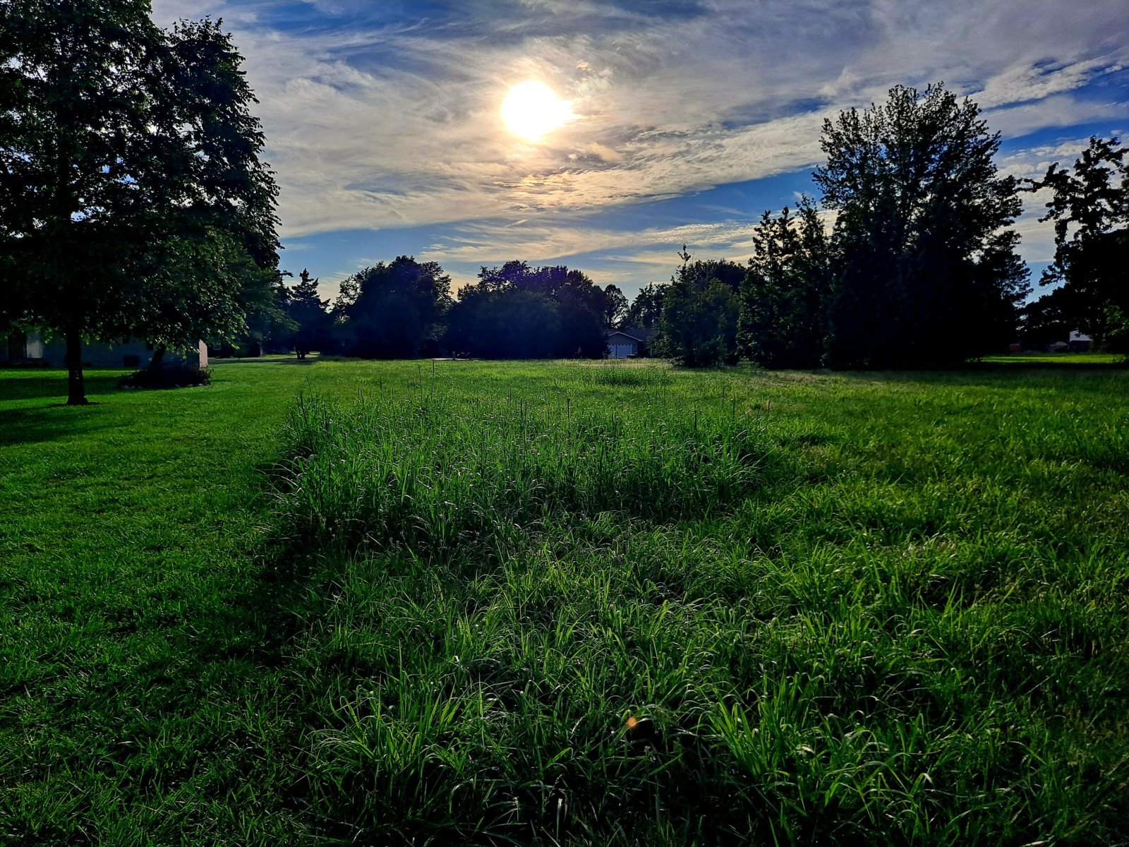 20240609_184810.jpg
