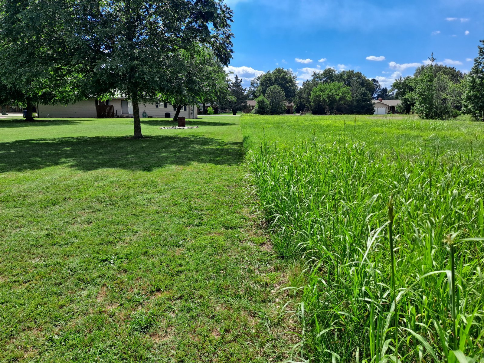 20240610_152738.jpg