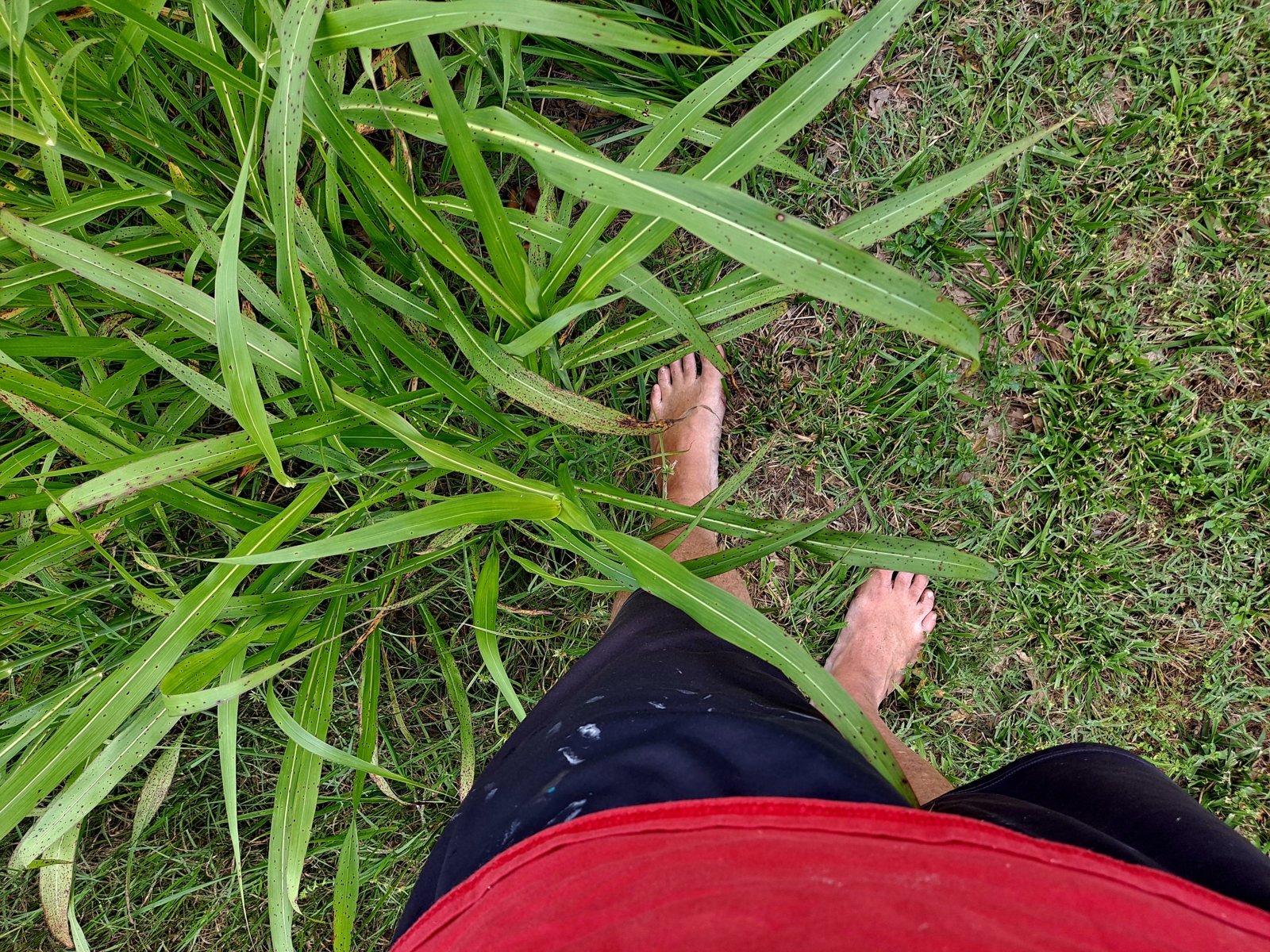 20240610_152952.jpg