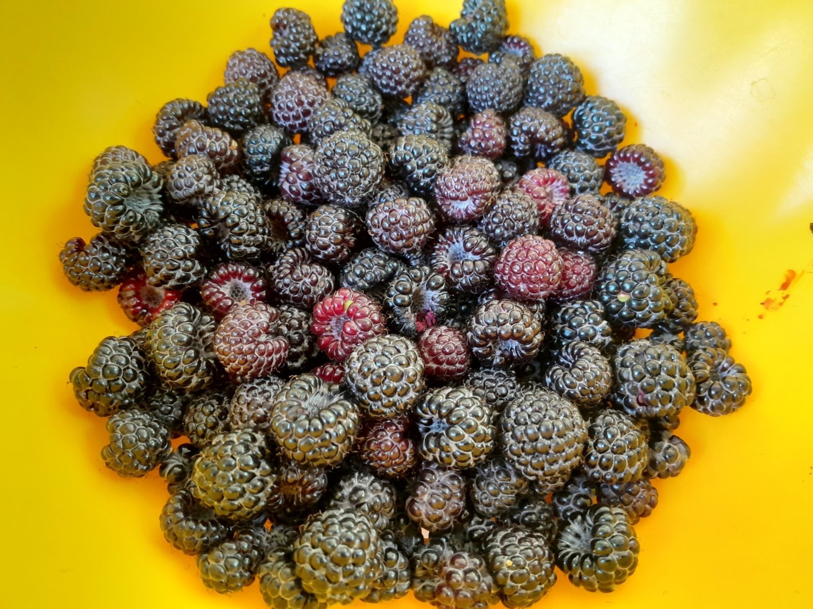 20240612_152252.jpg