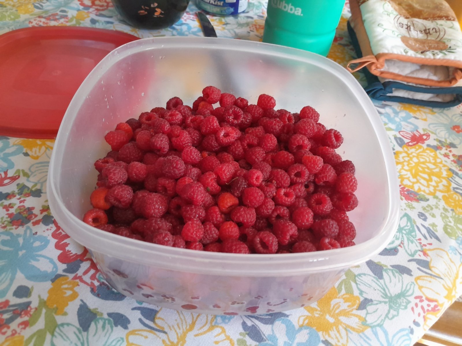 20240612_162239.jpg