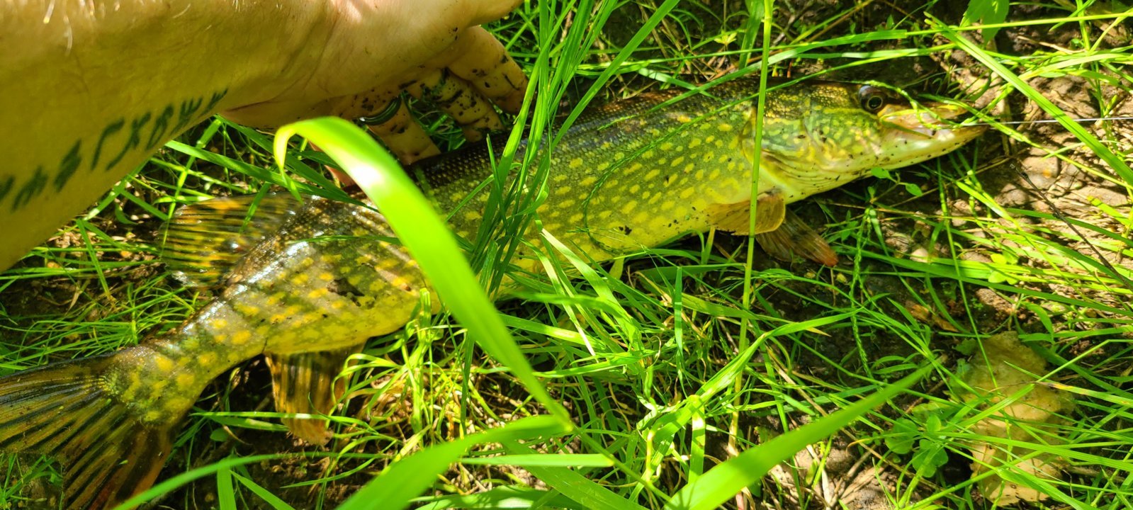 20240614_090659.jpg