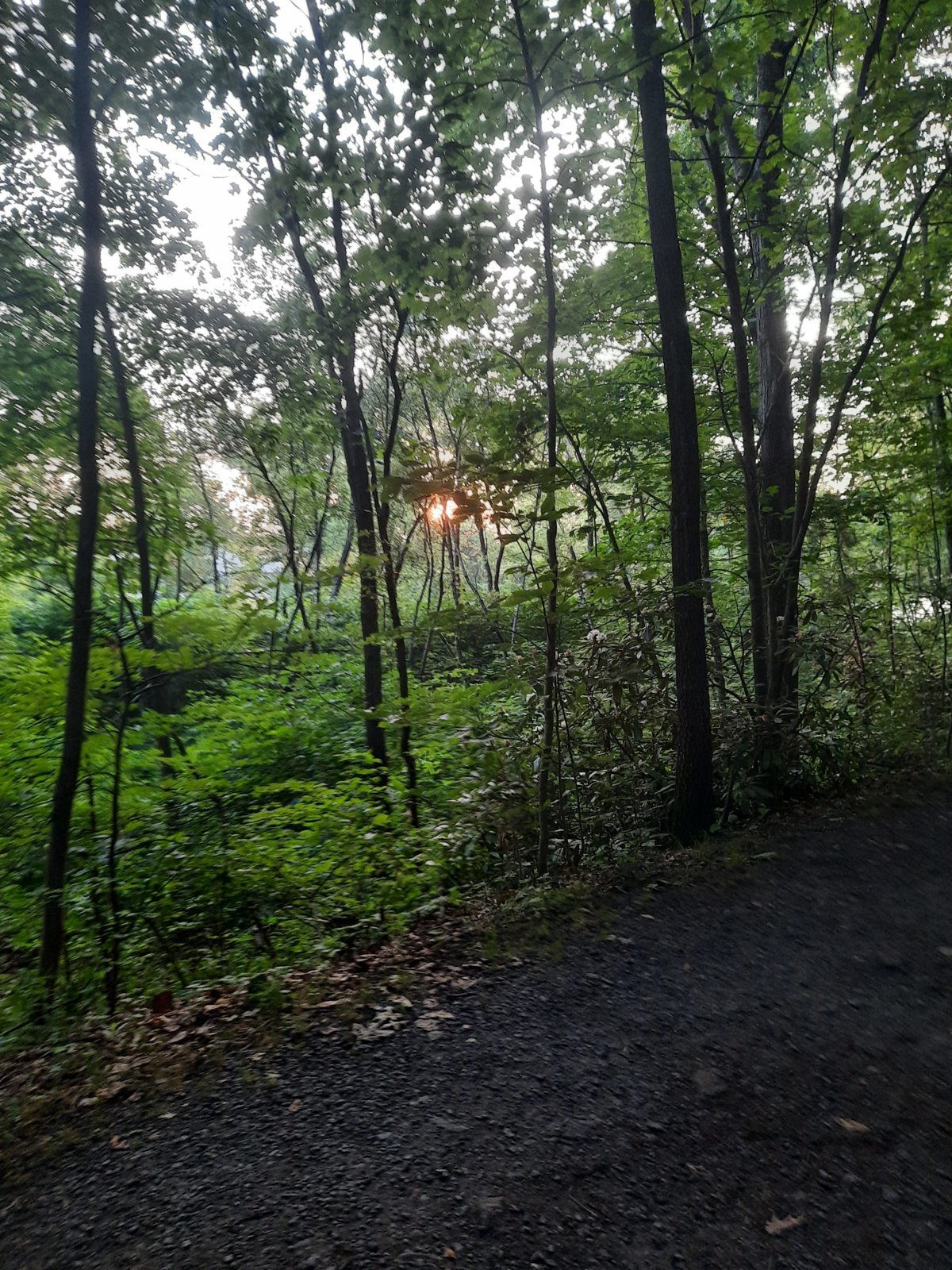 20240620_055218.jpg