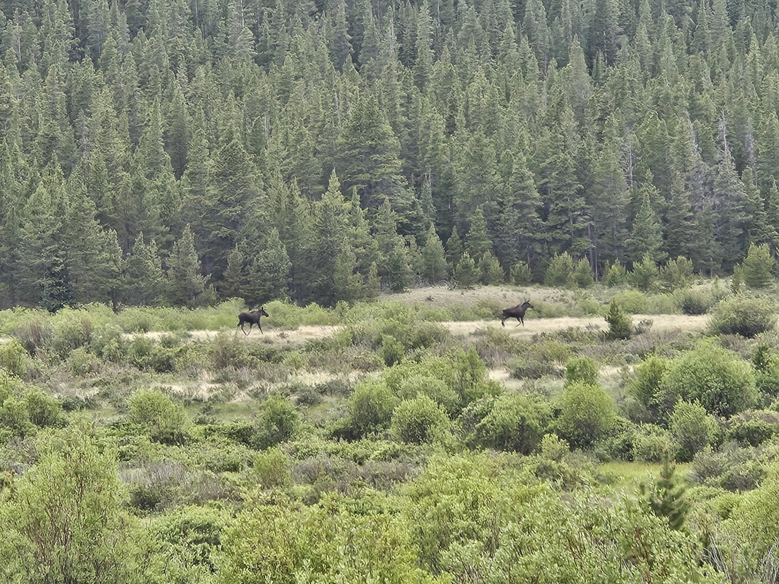 20240622_172558.jpg