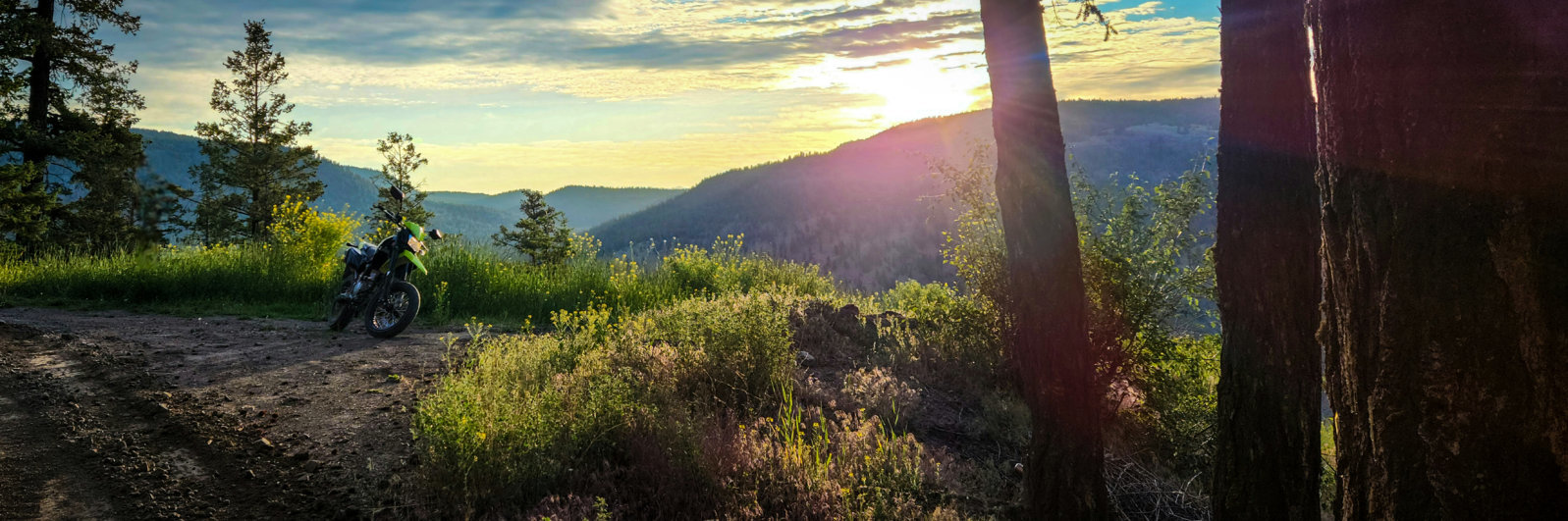 20240623_054300.jpg
