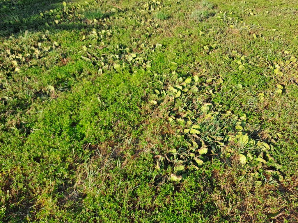 20240624_183934.jpg
