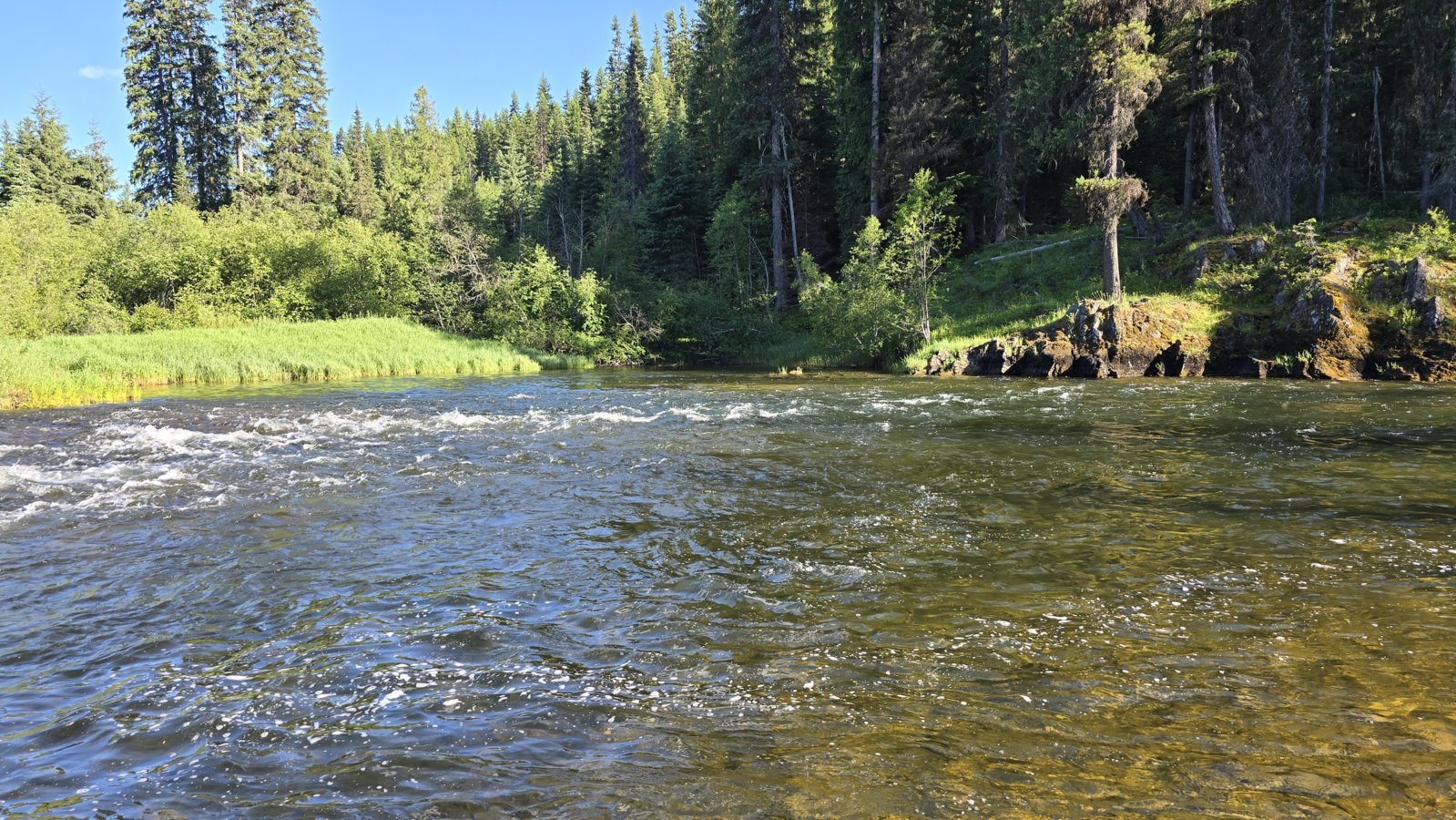 20240624_184847.jpg