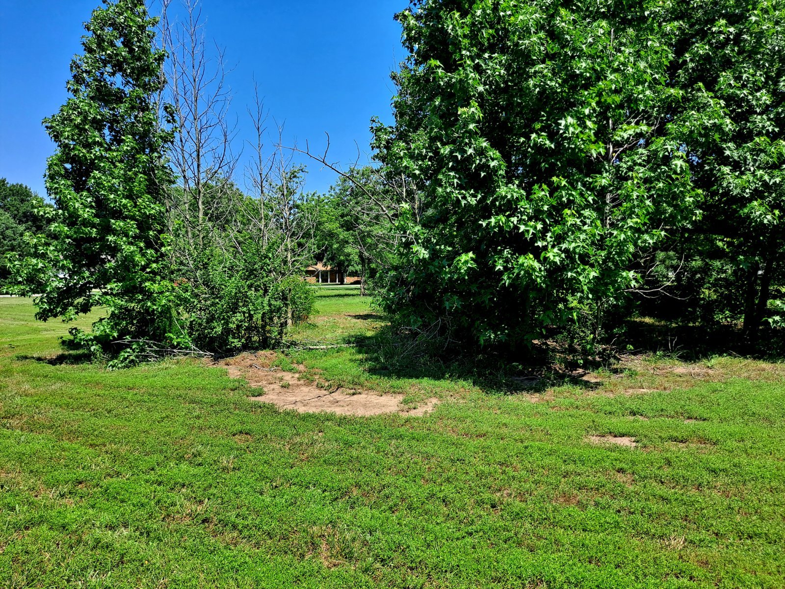20240625_112057.jpg