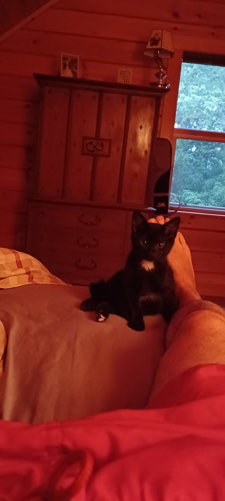 20240626_193338.jpg
