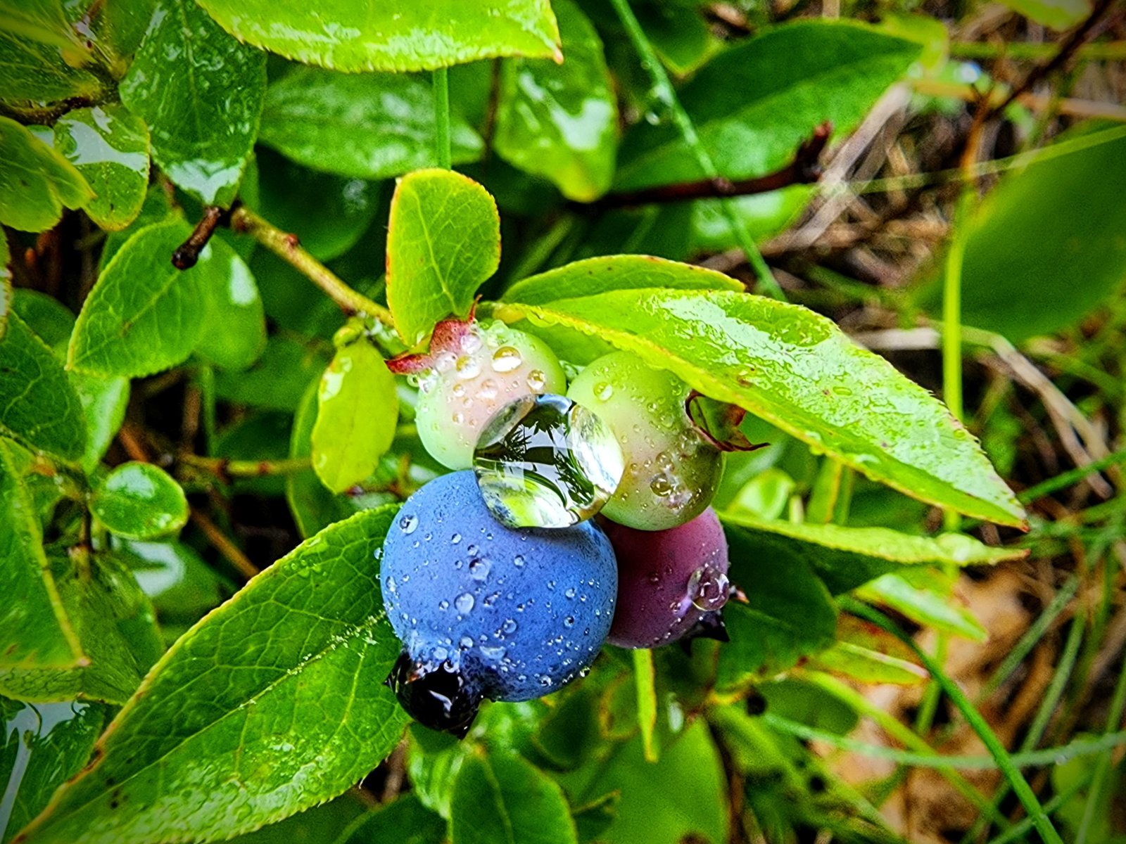 20240628_172847~2.jpg