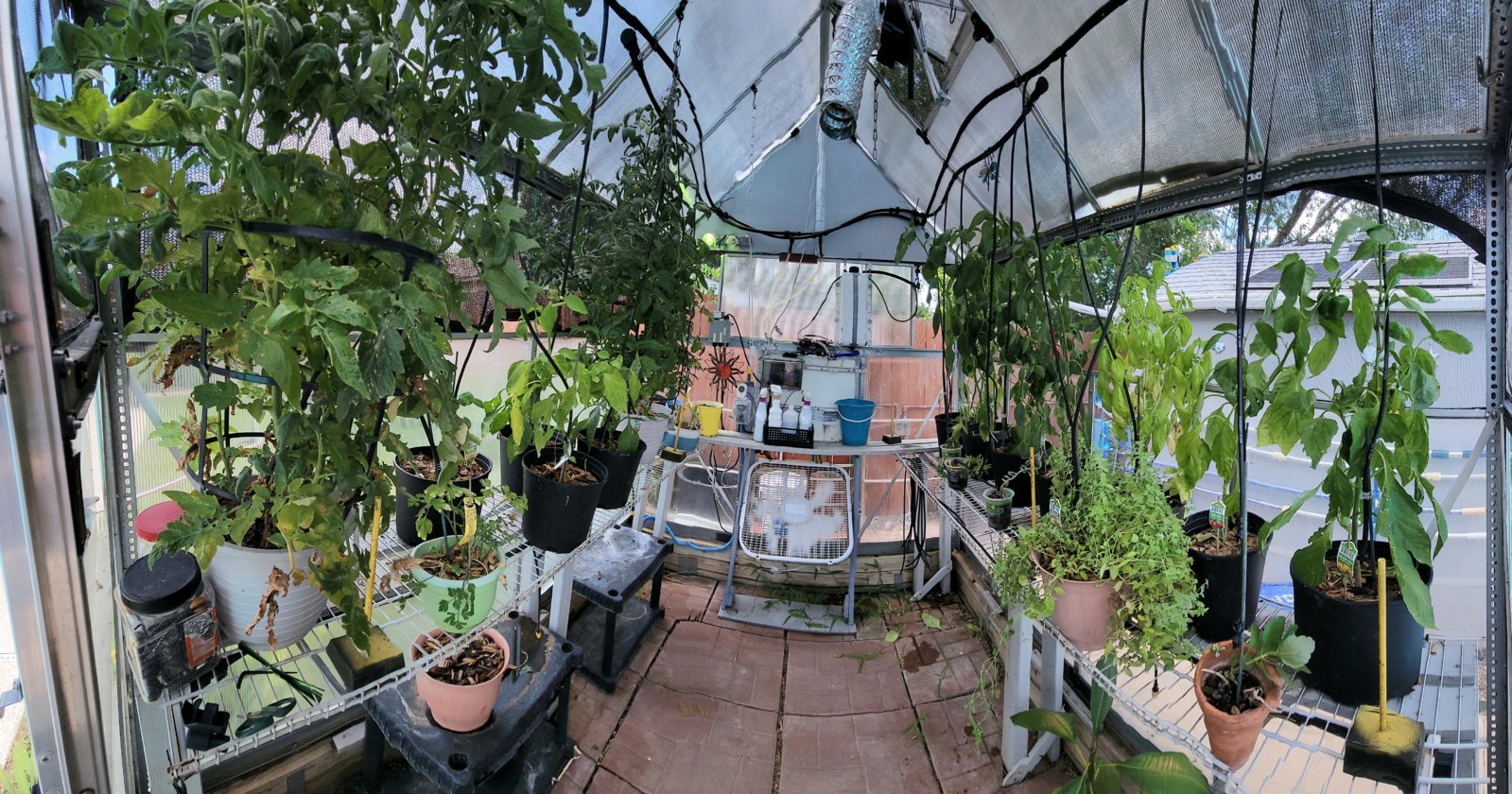 20240629_135320.jpg