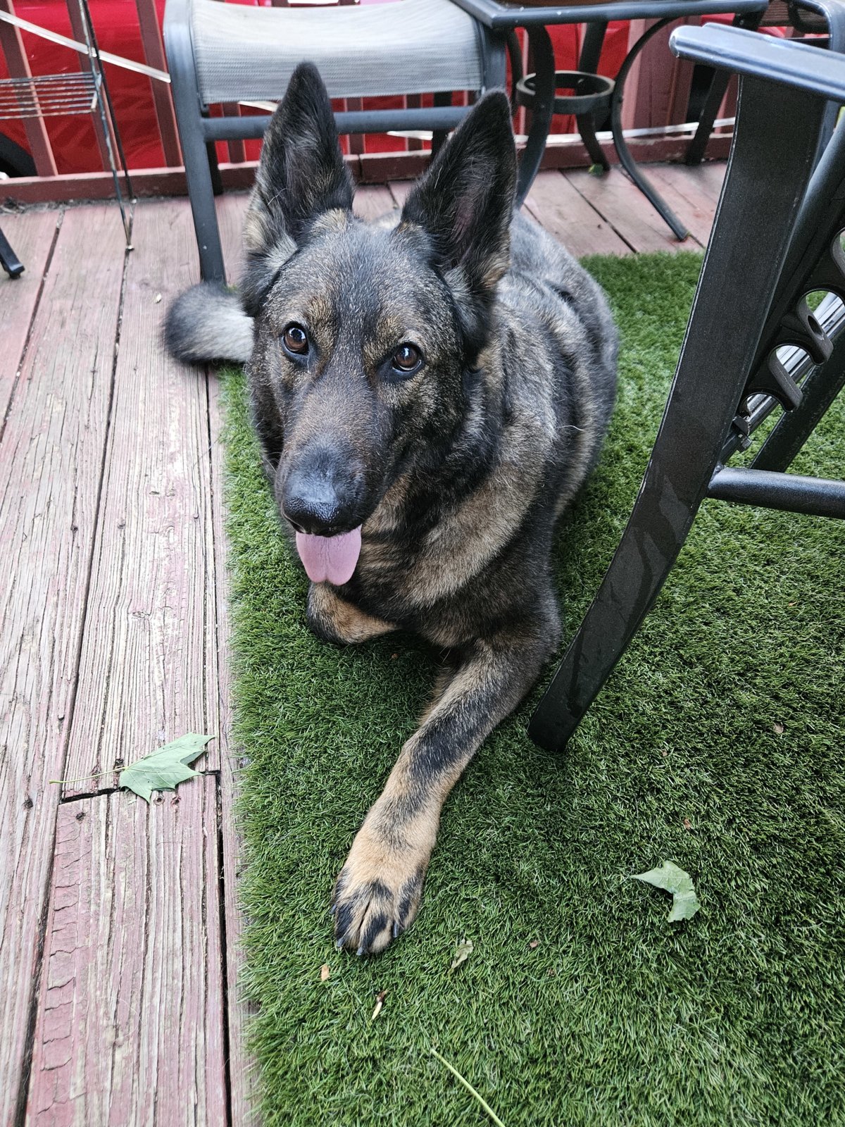 20240629_201120.jpg