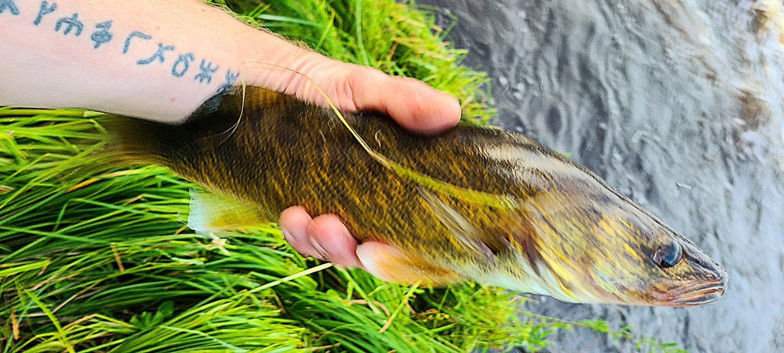 20240704_054854.jpg