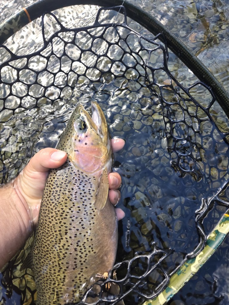 20240706_103546.jpg