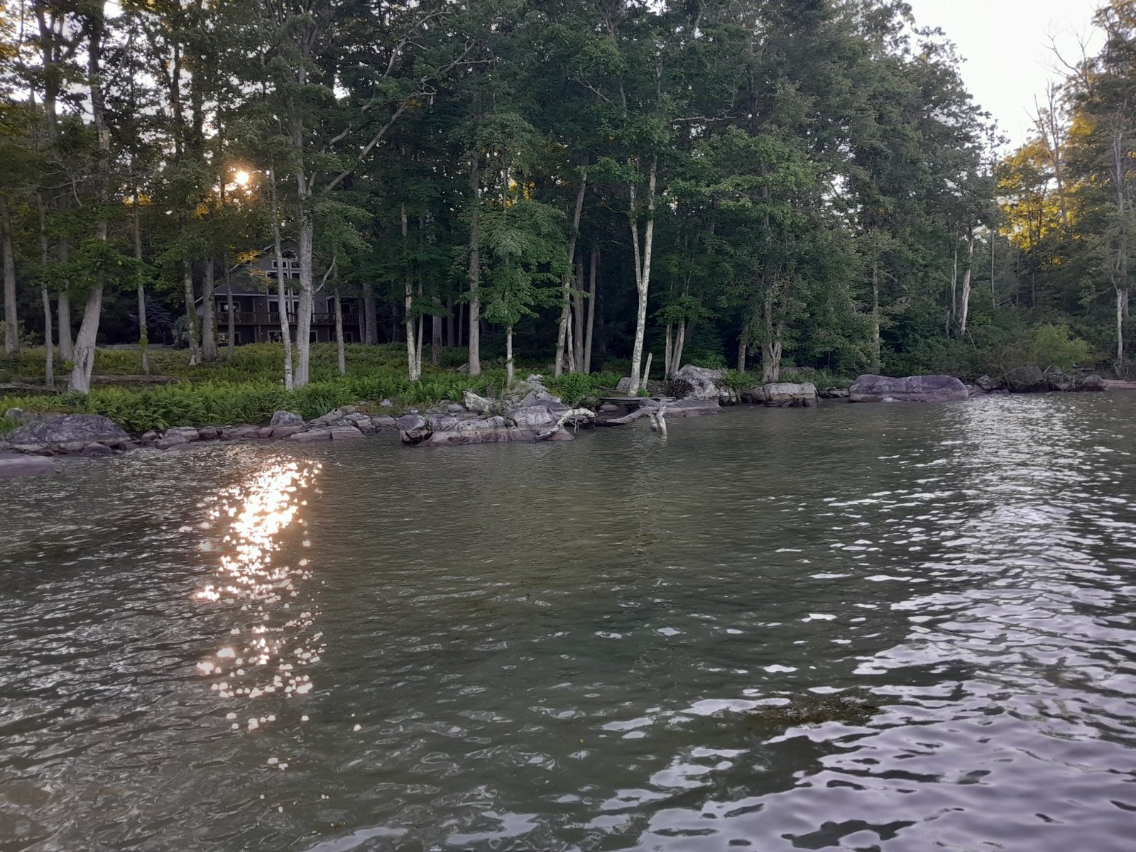 20240707_193310.jpg