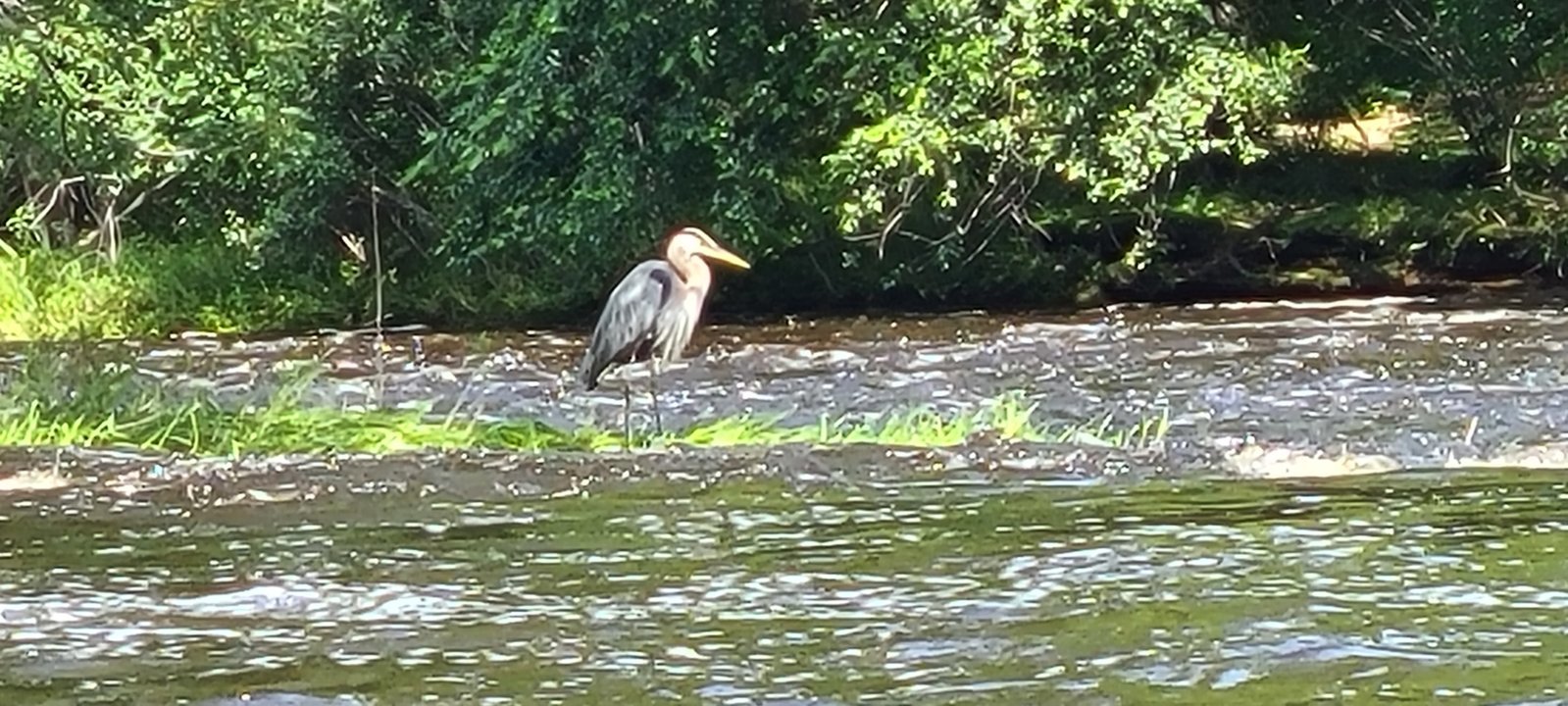 20240708_113801.jpg