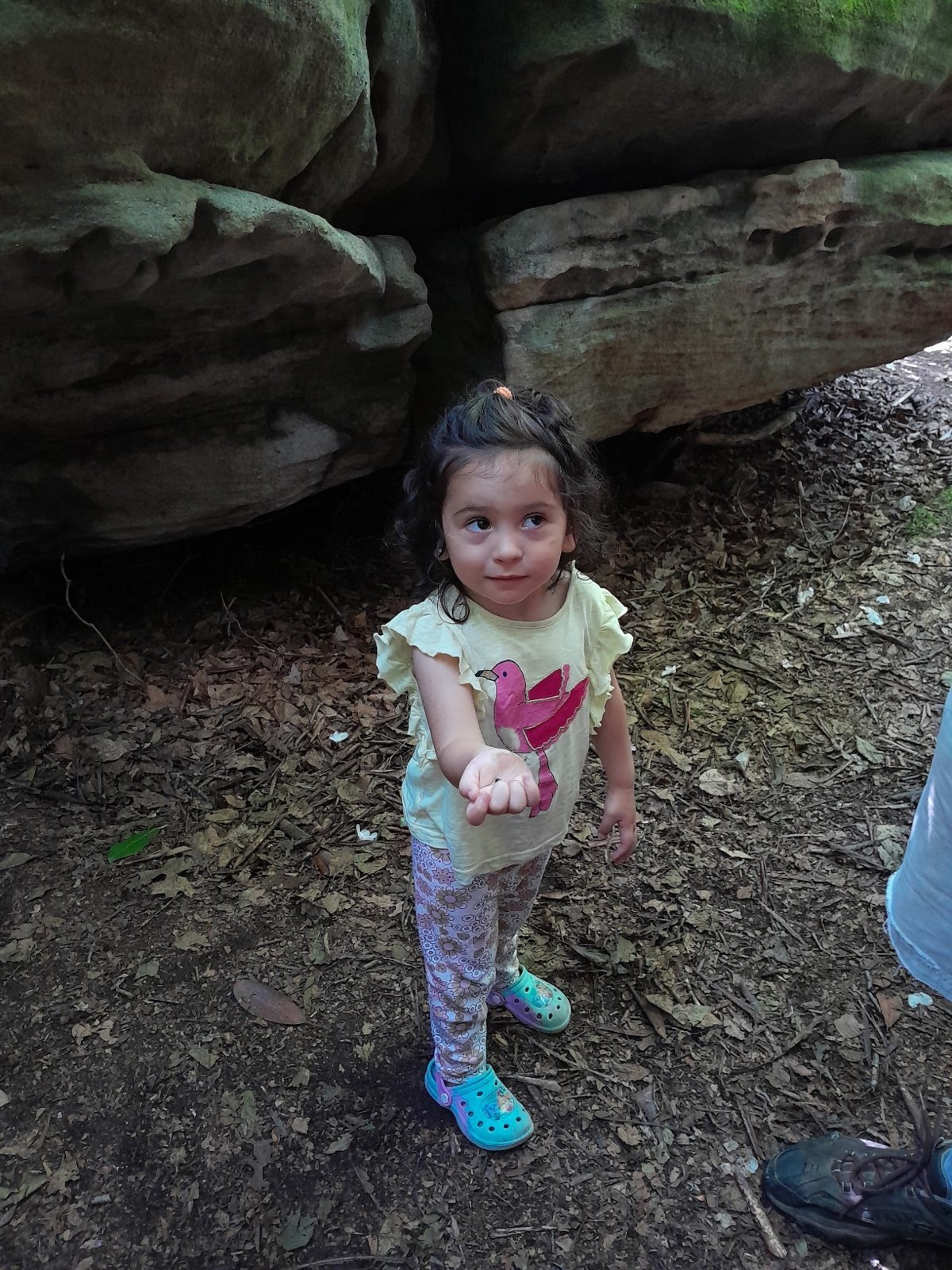 20240709_110929.jpg