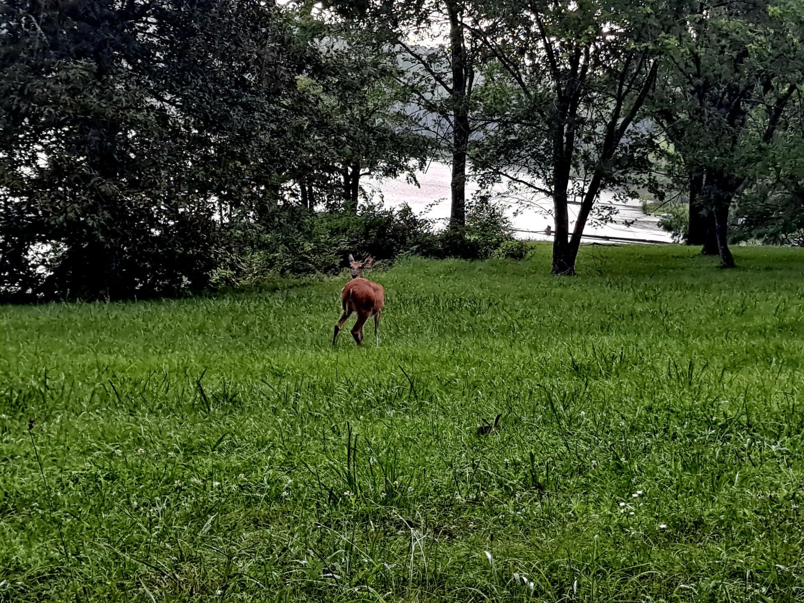 20240712_171845.jpg