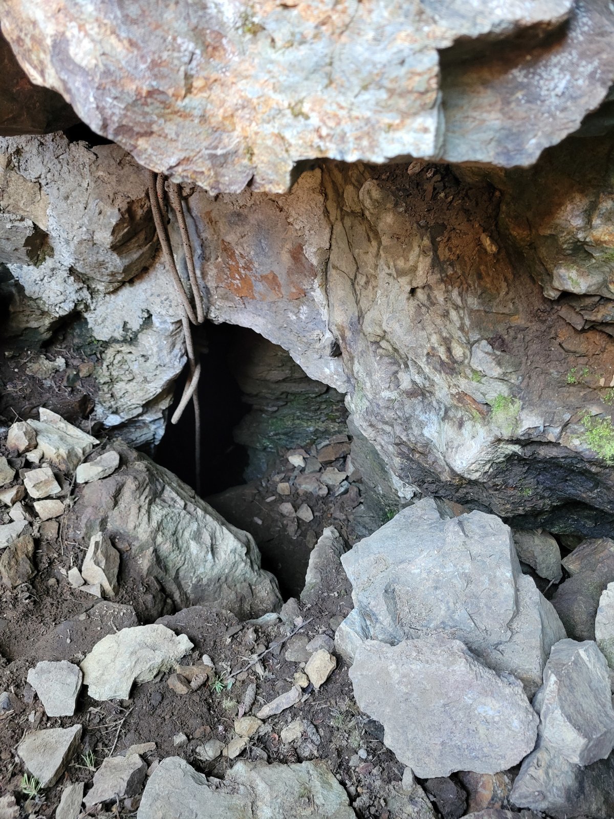 20240715_160248.jpg